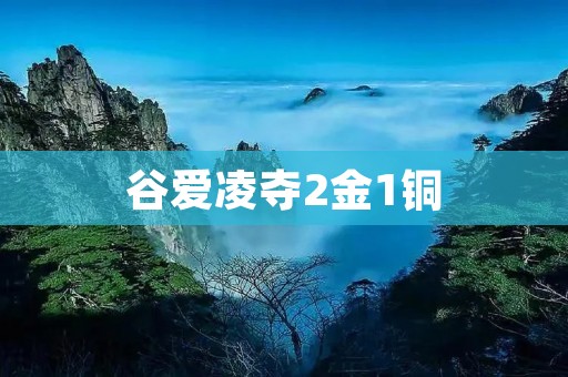 谷爱凌夺2金1铜：创造历史的中国花样滑冰新星