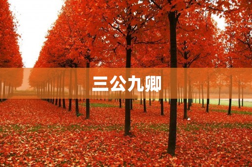 三公九卿:传世官员的风云岁月
