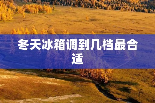 冬天冰箱调到几档最合适