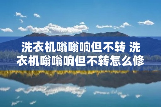 洗衣机嗡嗡响但不转 洗衣机嗡嗡响但不转怎么修