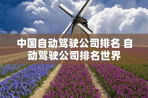中国自动驾驶公司排名 自动驾驶公司排名世界