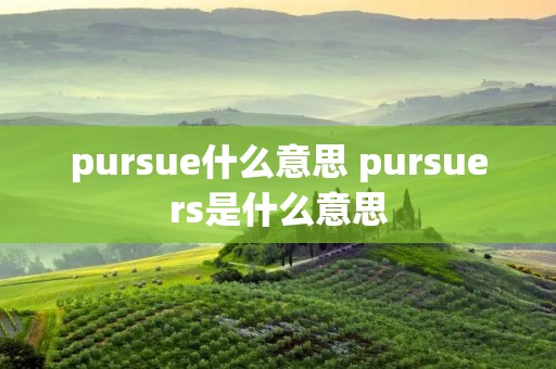 pursue什么意思 pursuers是什么意思 pursue什么意思 pursuers是什么意思