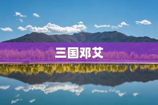 三国邓艾:智勇双全的谋略家