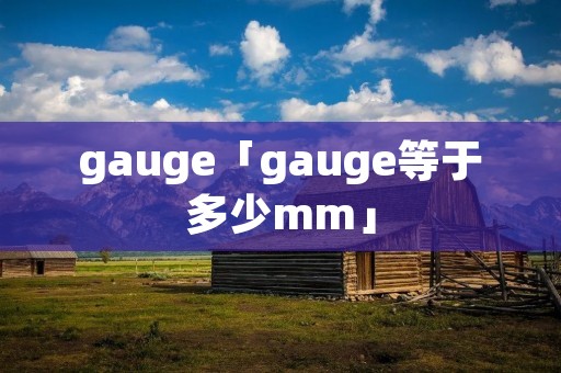 gauge「gauge等于多少mm」