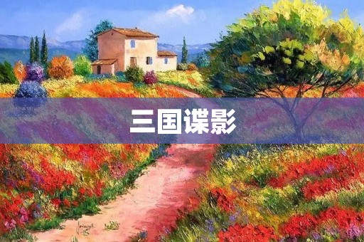 三国谍影:权谋纷争下的暗战江湖