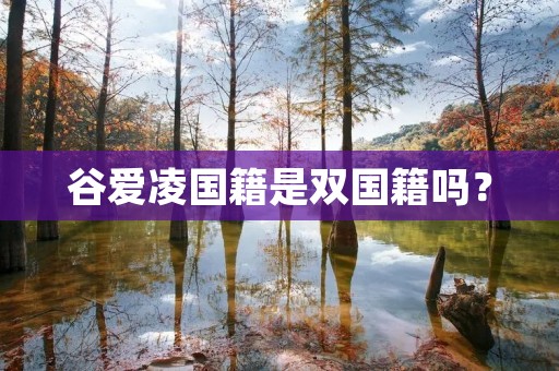 谷爱凌国籍是双国籍吗？
