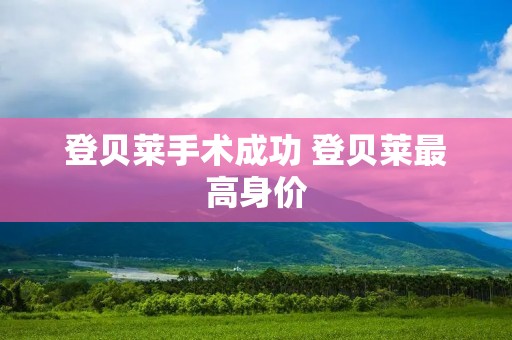 登贝莱手术成功 登贝莱最高身价 登贝莱手术成功 登贝莱最高身价