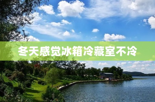 冬天感觉冰箱冷藏室不冷：探寻原因与解决方法
