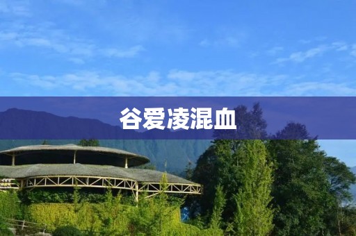 谷爱凌混血：跨文化融合下的多元魅力