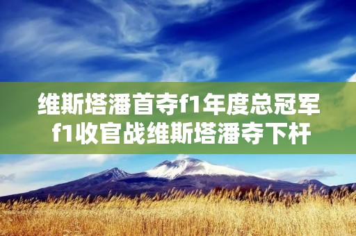 维斯塔潘首夺f1年度总冠军 f1收官战维斯塔潘夺下杆位 维斯塔潘首夺f1年度总冠军 f1收官战维斯塔潘夺下杆位