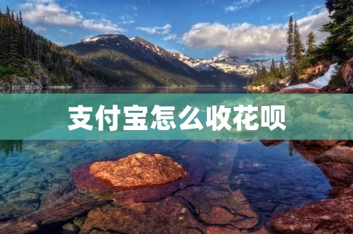 支付宝怎么收花呗