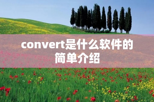 convert是什么软件的简单介绍
