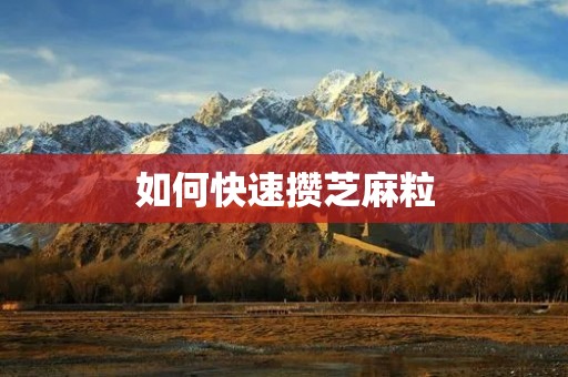 如何快速攒芝麻粒