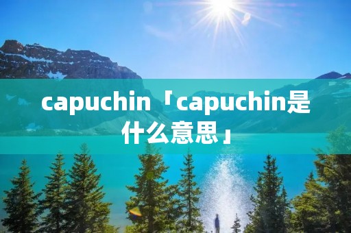 capuchin「capuchin是什么意思」