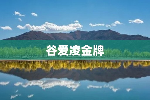 谷爱凌金牌：跃升为中国体操女神的奇迹