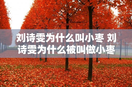 刘诗雯为什么叫小枣 刘诗雯为什么被叫做小枣
