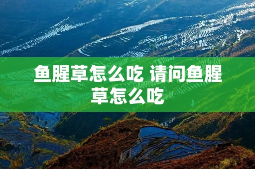 鱼腥草怎么吃 请问鱼腥草怎么吃