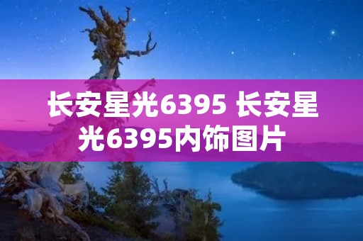 长安星光6395 长安星光6395内饰图片 长安星光6395 长安星光6395内饰图片