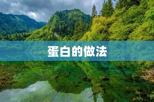 蛋白的做法：健康美味的蛋白食谱大全