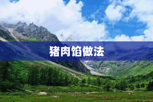 猪肉馅做法：美味可口的猪肉馅料理让你大快朵颐