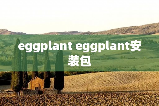 eggplant eggplant安装包