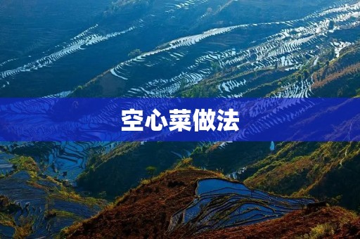 空心菜做法：清爽营养的佳肴