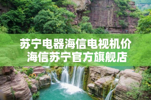 苏宁电器海信电视机价 海信苏宁官方旗舰店