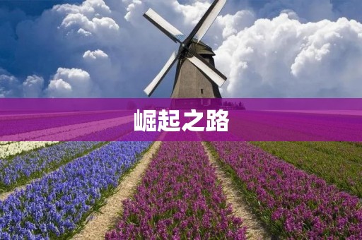 崛起之路:探索成功的秘密