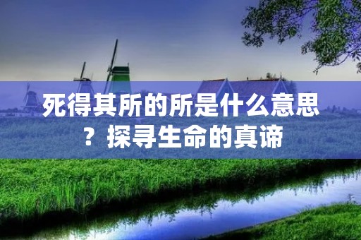 死得其所的所是什么意思?探寻生命的真谛