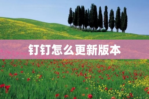 钉钉怎么更新版本:详细教程及注意事项