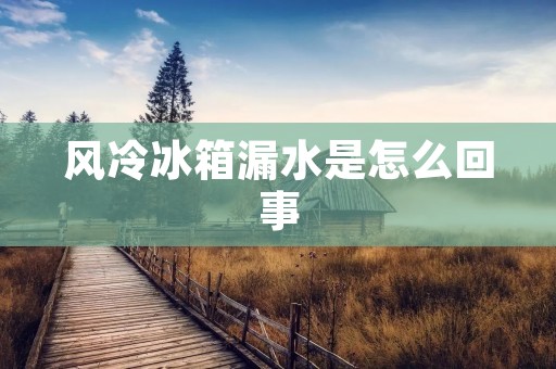 风冷冰箱漏水是怎么回事