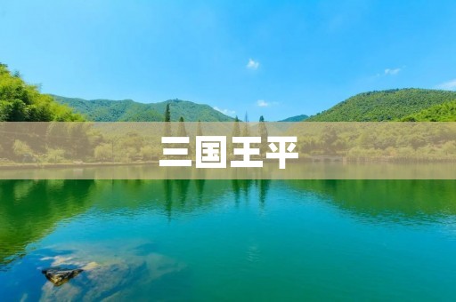三国王平：智勇双全的谋略家