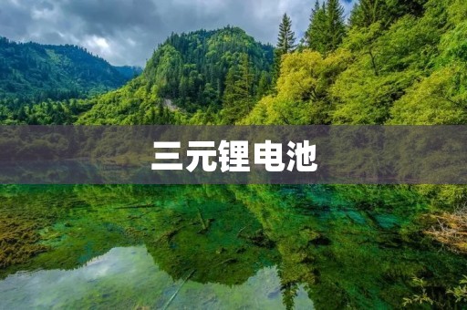 三元锂电池:未来电动汽车的首选动力源 三元锂电池:未来电动汽车的首选动力源