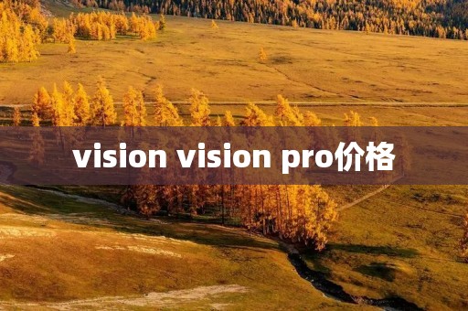 vision vision pro价格
