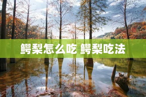 鳄梨怎么吃 鳄梨吃法
