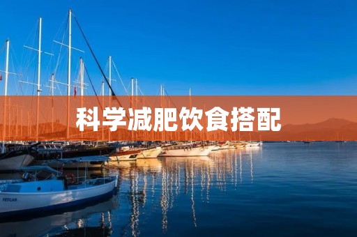 科学减肥饮食搭配：健康瘦身路上的必备指南
