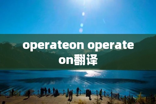 operateon operateon翻译 operateon operateon翻译