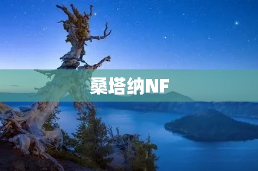 桑塔纳NF:豪华与性能的完美融合 桑塔纳NF:豪华与性能的完美融合