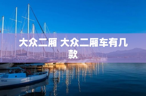 大众二厢 大众二厢车有几款