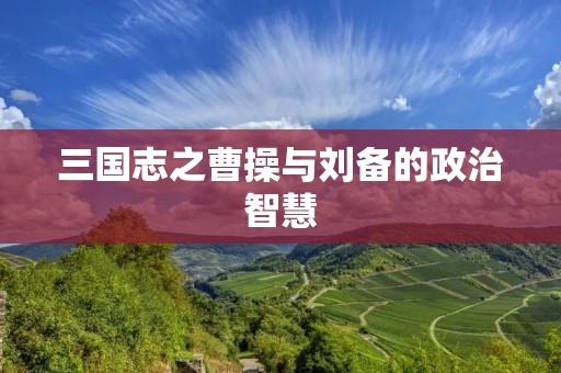 三国志之曹操与刘备的政治智慧