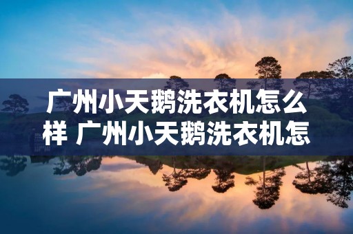 广州小天鹅洗衣机怎么样 广州小天鹅洗衣机怎么样知乎