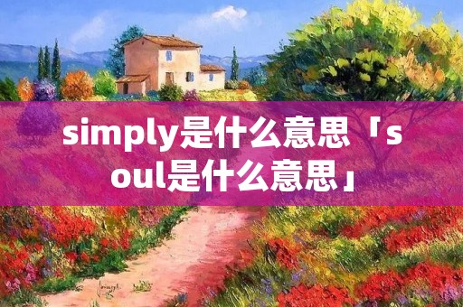 simply是什么意思「soul是什么意思」