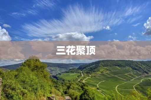 三花聚顶：一场视觉与味觉的盛宴