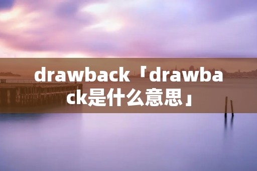 drawback「drawback是什么意思」