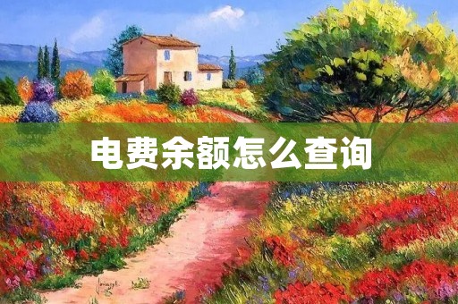 电费余额怎么查询:详细解析与实用指南
