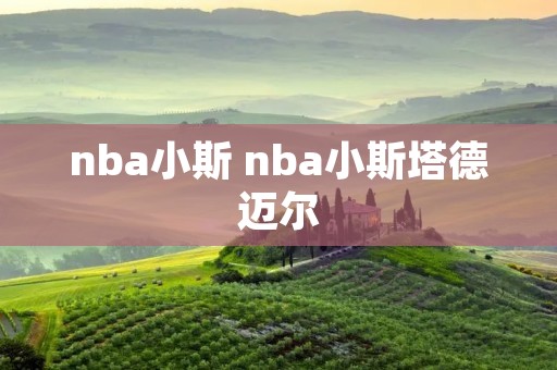 nba小斯 nba小斯塔德迈尔 nba小斯 nba小斯塔德迈尔
