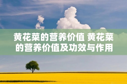黄花菜的营养价值 黄花菜的营养价值及功效与作用禁忌