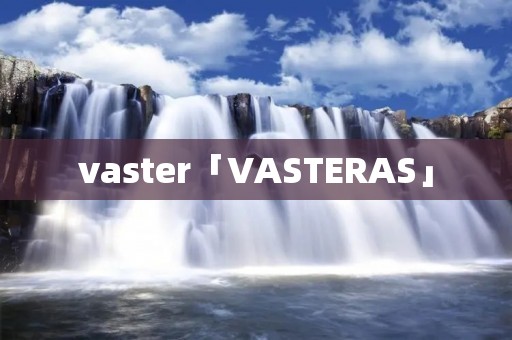 vaster「VASTERAS」
