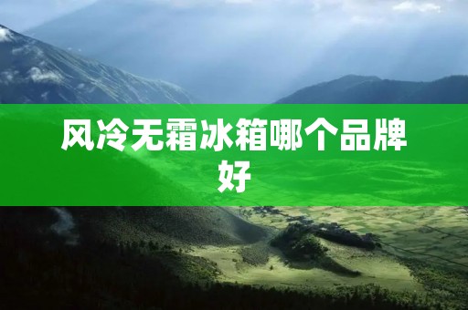 风冷无霜冰箱哪个品牌好 风冷无霜冰箱哪个品牌好
