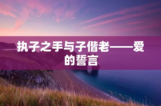 执子之手与子偕老——爱的誓言